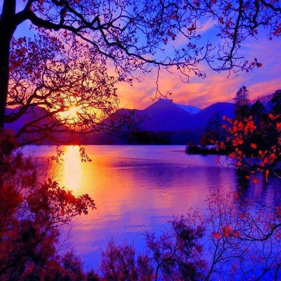 💙Meet your Posher, Cassie💙 - Picture 2 of 3